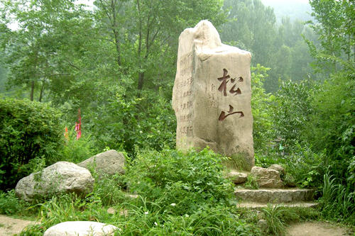 图片187.png