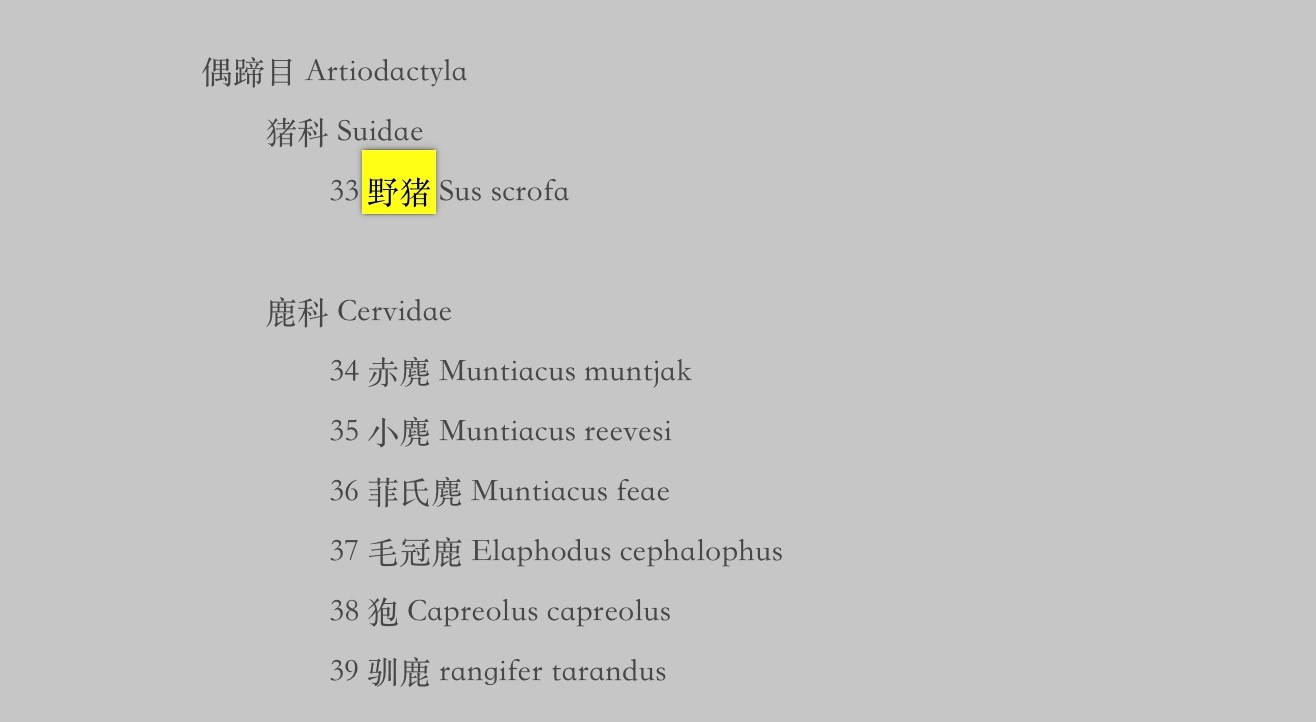 2000年8月1日，以国家林业局令第7号发布实施的《国家保护的有益的或者有重要经济、科学研究价值的陆生野生动物名录》野猪位列其中，而在近日发布的“三有”名录征求意见稿中，偶蹄目的猪科已被删除 来源：国家林草局网站截图