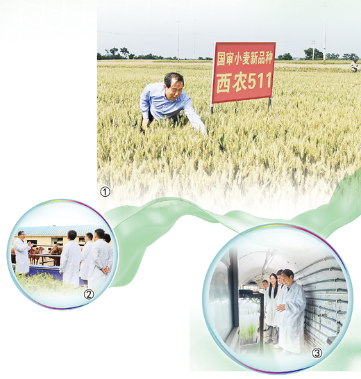 吉万全.jpg