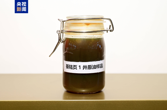 1761555674729531.png 綦陆页1井.png