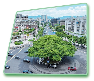 1763012997428091.jpg 福建省福州市南门兜.jpg