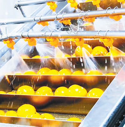 1764050253526890.jpg 在浙江艾佳果蔬开发有限责任公司,胡.jpg