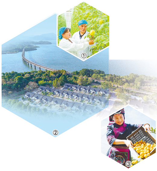 1764216555838696.jpg 123安徽池州石台县横渡.jpg