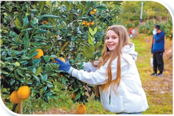 1771915646788970.png 便利政策叠加特色体验2.png