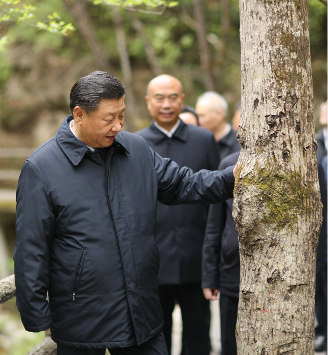 2020年4月20日，习近平总书记在位于陕西省商洛市柞水县的.png