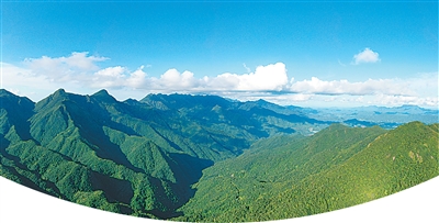 　广西十万大山国家级自然保护区。.jpg