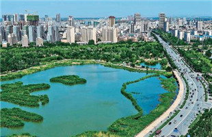 银川要创建“国家森林城市” 到底怎么干？