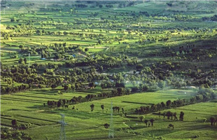 从“荒漠地”到“示范区”！榆林生态环境建设的蜕变之路