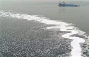 生态恢复技术为水环境污染开良方