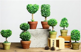 仿真植物装饰绿植盆栽，环保材料让家更美丽！