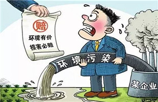 首个生态环境损害赔偿司法解释出台