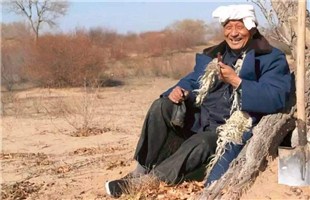 “大漠赤子”石光银：誓将沙漠变绿洲
