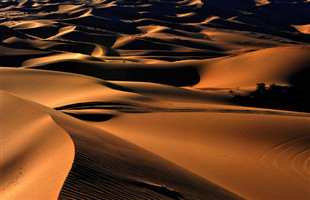 内蒙古：五方面细化与规范荒漠生态气象工作