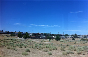 从荒漠里长出的绿色希望