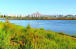乌海市：让沙山荒山捧出“绿色奉献”