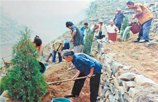 靳月英老人祖孙四代 35年接力种下二十多万棵树