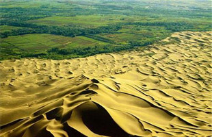 久久为功防治土地荒漠化