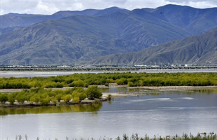 荒漠变绿洲 穷乡变富地