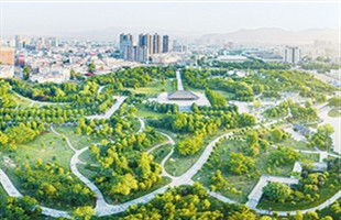 城市森林建设应重视生态养护