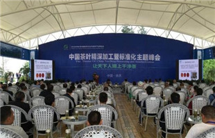 中国茶叶要持续走精深加工标准化之路