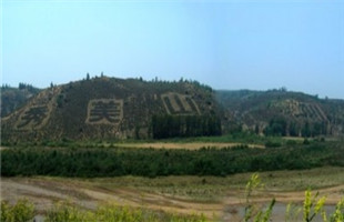 北部湾林木产业园动工