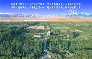 沙产业理论忠实践行者 挑战荒漠的大漠之子 ——人物特写：治沙模范柴在军和他的大漠紫光