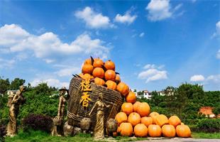 珠江口坦洲特色水果年效益超亿元