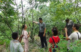 妆得绿水青山 助推金山银山