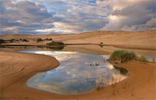 库布其：向世界贡献荒漠化防治的“中国样本”