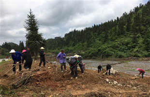 山西建成11处国家重点林木良种基地
