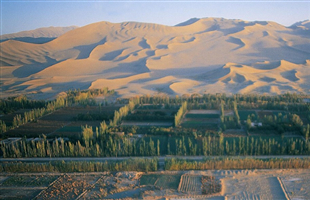 我省“十三五”以来完成荒漠化治理任务30.07万公顷