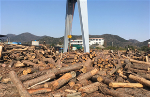 广西平南县林木加工产业提档升级