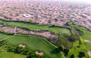 荒漠化防治，串起新疆的绿水青山
