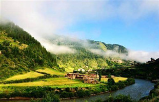 青海：在青藏高原育绿色森林