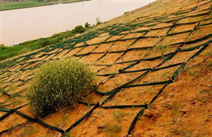 草方格筑起沙漠绿色长城