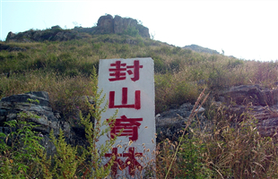 林业行政处罚程序规定