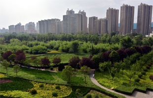 安徽这3市荣获“国家森林城市”称号 可有你家乡？