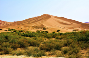 扎根戈壁荒漠的“科研民工”——记东华理工大学副教授周义朋