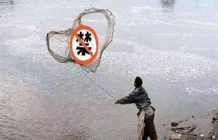 长江流域重点水域禁捕初见成效，半数以上保护区实现全面禁捕