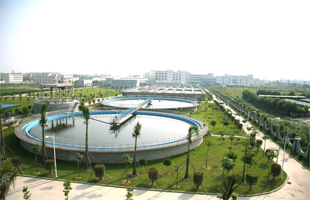 触目惊心！冶炼厂废料污染黄河支流 村民：小鸟喝了就死！