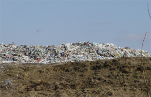 山东郓城复垦地偷埋垃圾:现场挖出化学品气味铁桶