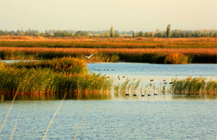津城两个国家湿地公园通过验收