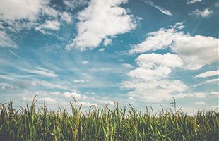 浙江慈溪：“寒假课堂”非遗传承迎新年