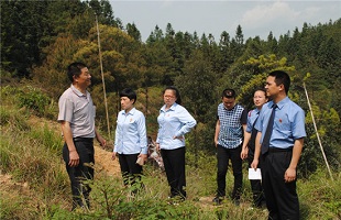 福建整合公益诉讼和生态检察职能