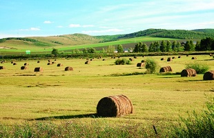 卢得仁：一生奋斗只为草