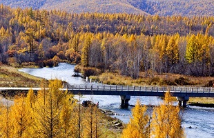 内蒙古大兴安岭守林人：守好中国北疆生态线