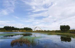 京城最大“绿肺”温榆河公园复工