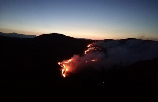 云南宾川发生森林火灾 650余人全力扑救