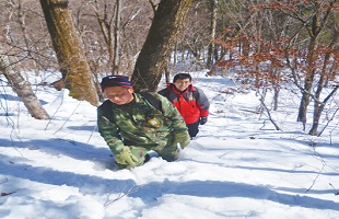 林区巡护勤　虎豹日渐多