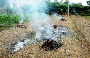 河北启动打击露天焚烧专项行动 四类行为将被严查